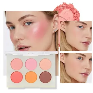 Palette de fard à joues mat professionnel 6 couleurs pour le contouring du visage