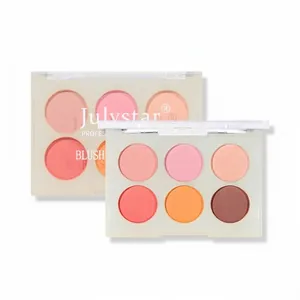 Palette professionnelle de 6 fards à joues et à paupières mats pour le maquillage
