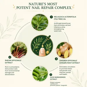 Infografik für Teebaum- und Ingwer-Nagelserum mit natürlichen Inhaltsstoffen zur Reparatur.
