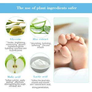 Detailed infographic of plant-based ingredients for an exfoliating foot mask treatment
