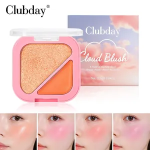 Gros plan sur une palette de blush bicolore avec enlumineur scintillant et modèle