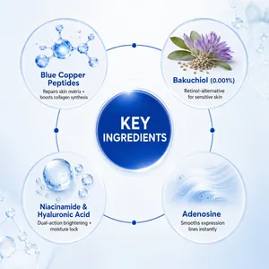 Detailierte Infografik zu Inhaltsstoffen des Blue Copper Peptide Gesichtsserums