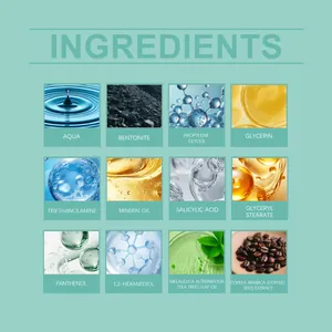 Visual ingredients list for salicylic acid clay mask showing tea tree oil and minerals