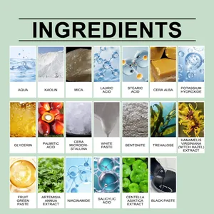 Detaillierte Liste der Inhaltsstoffe der Artemisia-Tonmaske zur Mitesserentfernung