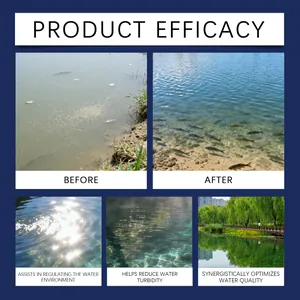 Water clarifier powder efficacy showing before and after clear pond water results.