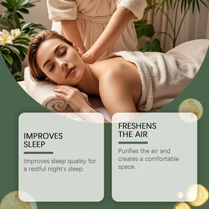 Infographie montrant les bienfaits de l'huile essentielle pour le sommeil et l'air pur