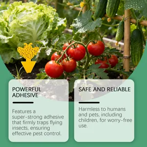 Gele bijvormige kleverige insectenval in moestuin met tomaten en verse groene sla
