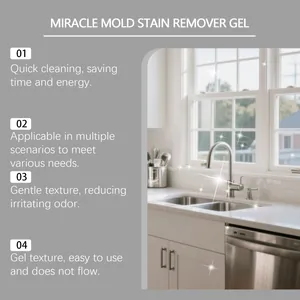 Caractéristiques détaillées du gel anti-moisissure efficace pour éviers et carrelages