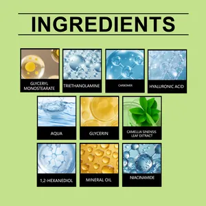 Detail infographic of green tea body lotion ingredients like niacinamide and glycerin.