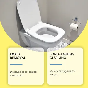 Gel de nettoyage professionnel pour l'élimination des moisissures et l'hygiène des toilettes