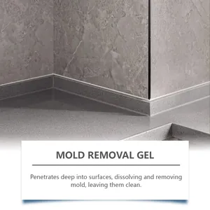 Gel anti-moisissure puissant pour le nettoyage des joints de carrelage de cuisine et salle de bain