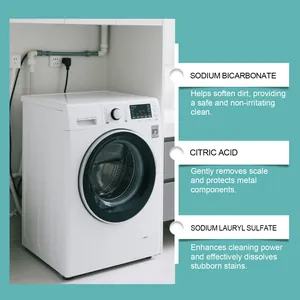 Vista detallada con ingredientes como bicarbonato de sodio y ácido cítrico para lavadoras.
