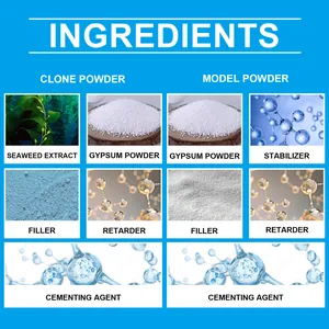 Elenco ingredienti dettagliato per kit calco mani 3D con componenti in polvere clone e modello