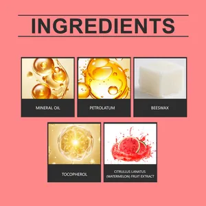 Detaillierte Grafik mit den Inhaltsstoffen der Wassermelonen-Lippenmaske