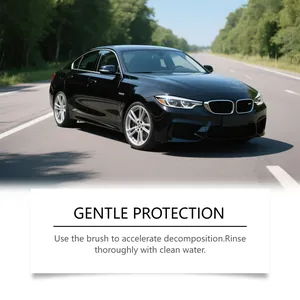 Detailed usage instructions for multi-purpose car rust remover on a clean black sedan
