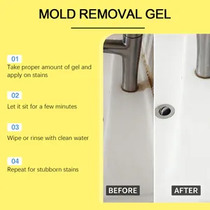 Guide d'utilisation du gel anti-moisissure montrant les effets avant et après