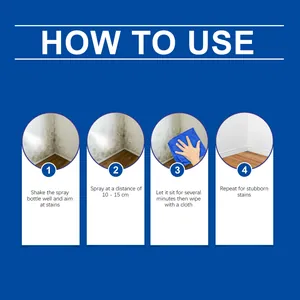 Instructions détaillées étape par étape pour le spray nettoyant moisissure des murs