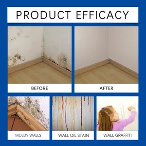 Comparaison avant et après de l'efficacité du spray nettoyant pour murs et moisissures