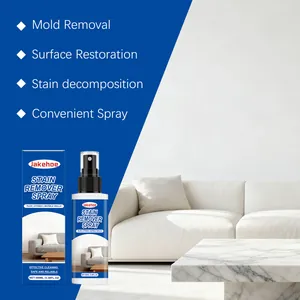 Spray détachant JAKEHOE professionnel pour le nettoyage des carreaux et marbres
