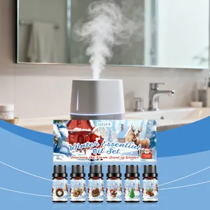 Coffret Huiles Essentielles Hiver Parfums Noel Pour Diffuseur Gingembre Menthe Cannelle Chocolat Chaud Aromatherapie Maison