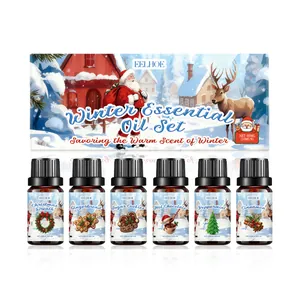 Coffret de 6 huiles essentielles d'hiver EELHOE avec boîte cadeau de Noël festive