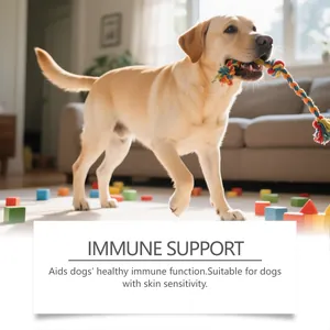 Happy golden dog playing at home with herbal immune support care supplement text