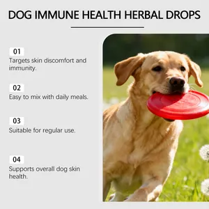 Action shot of a dog playing with frisbee, detailing herbal immune health drops benefits