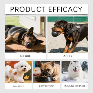 Pet herbal drops benefits showing skin relief, easy feeding, and immune support for dogs