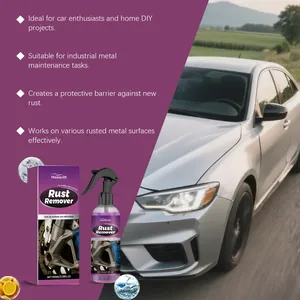 Homonth 100ml multi-purpose rust remover spray for cars, home DIY and metal maintenance