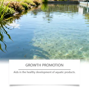 Specialized aquatic feed additive powder aids in healthy growth promotion for fish
