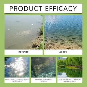 Visual demonstration of aquaculture water quality improvement with feed additive powder