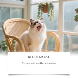 Macro shot of a yawning Ragdoll cat for pet oral health care routine.