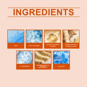Panoramica dettagliata degli ingredienti nutrienti e degli estratti vegetali per capelli