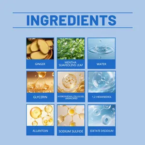 Infografica dettagliata degli ingredienti per i cerotti per le unghie con zenzero e glicerina