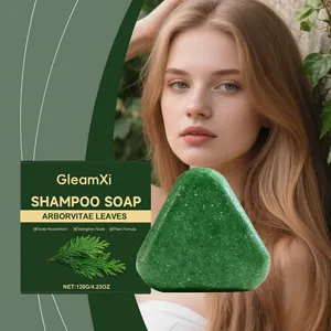 Natürliche Lebensbaumblätter Shampoo Seife Pflegende Kopfhaut Stärkung Der Haarwurzeln Pflanzenformel Feste Seife Für Tägliche Pflege