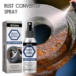Rayhong Rust Converter Spray Automotive Wheel Cleaning Renovation Lubricant Quick Action Metal Rust Removal Spray