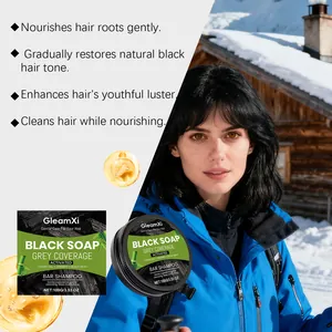GleamXi zwarte zeepshampoo voor grijs haar in een prachtige besneeuwde omgeving