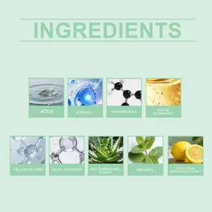 Détails des ingrédients naturels du dentifrice, notamment le menthol et l'aloe vera