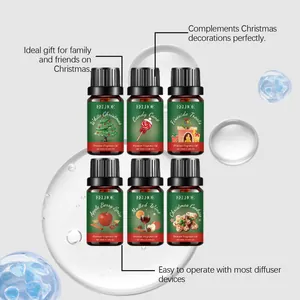 Coffret de six huiles parfumées EELHOE de Noël pour diffuseurs aux senteurs festives