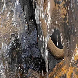 Close-up action detail of waterproof hiking shoes showing water splash on the surface
