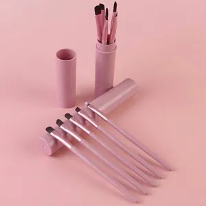 5pcs pink makeup brush set with portable storage tube for eyeshadow and eyebrows