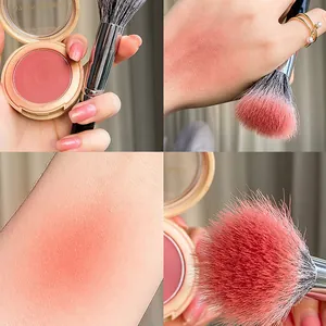Professional dotting blush brush for natural application with a compact blush set