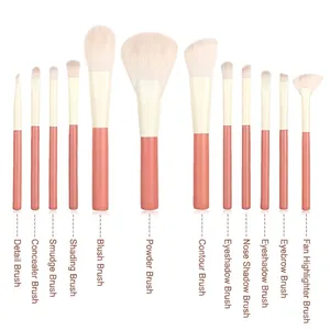 Professional 12-piece pink makeup brush set featuring soft synthetic bristles for beginners