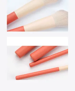 Vista dettagliata di un set di pennelli da trucco professionali con setole ultra morbide.