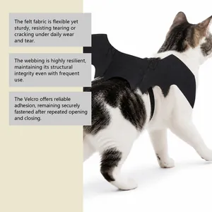 Detailansicht der langlebigen Filz-Fledermausflügel für Katzen mit Klettverschluss.