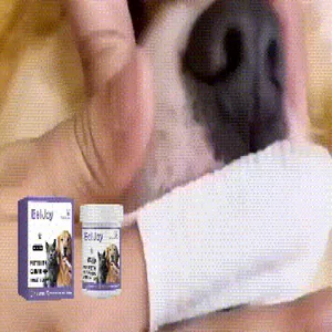 Detail view of EELJOY pet dental wipes used for cleaning a dog's teeth and mouth
