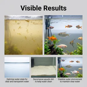 Détail montrant les résultats de purification de l'eau d'aquarium avec pastilles.