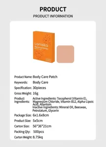 Patchs de magnésium Laniska pour le corps avec vitamine B12 et ALA, 30 pièces