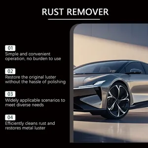 Infografiekdetail met de belangrijkste kenmerken van de roestverwijderaar bij een auto
