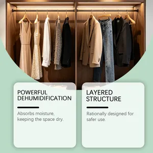 Closet dehumidifier scene highlighting powerful dehumidification and layered structure